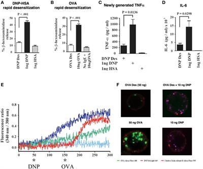 Drug Hypersensitivity and Anaphylaxis in Cancer and Chronic Inflammatory Diseases: The Role of Desensitizations